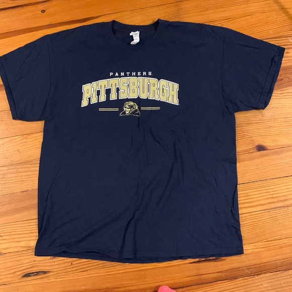 Gildan Other - Pittsburgh Panthers t-shirt